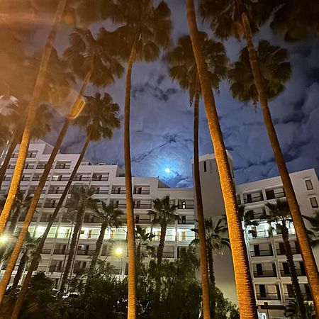Vina Del Mar Apartment ปลายา ฟัญญาเบ ภายนอก รูปภาพ