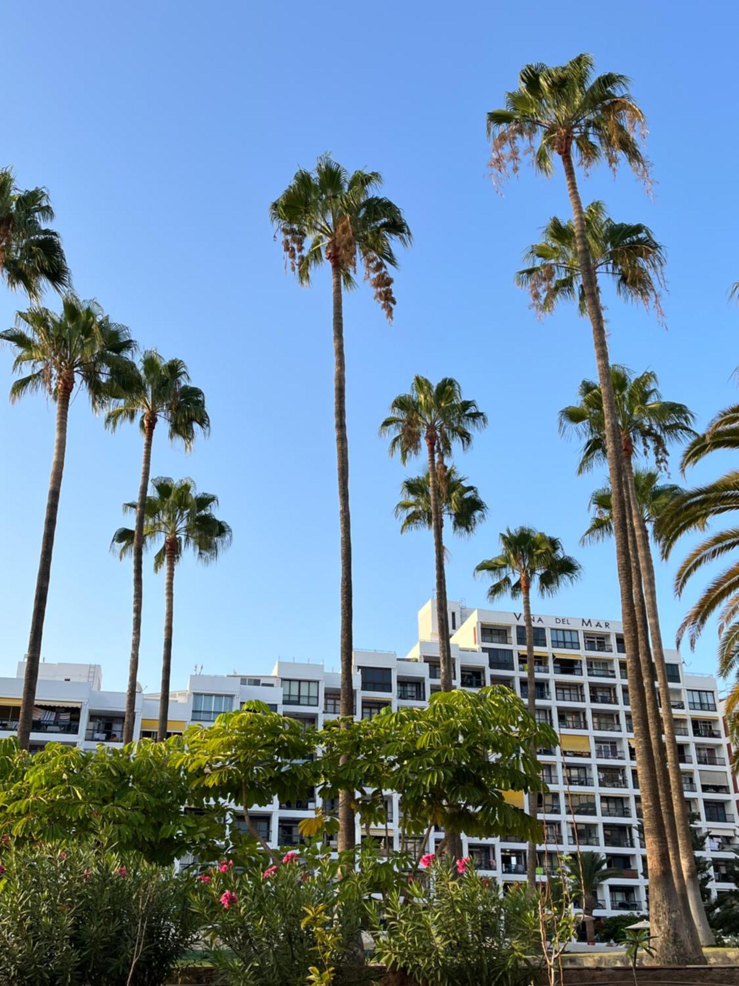 Vina Del Mar Apartment ปลายา ฟัญญาเบ ภายนอก รูปภาพ